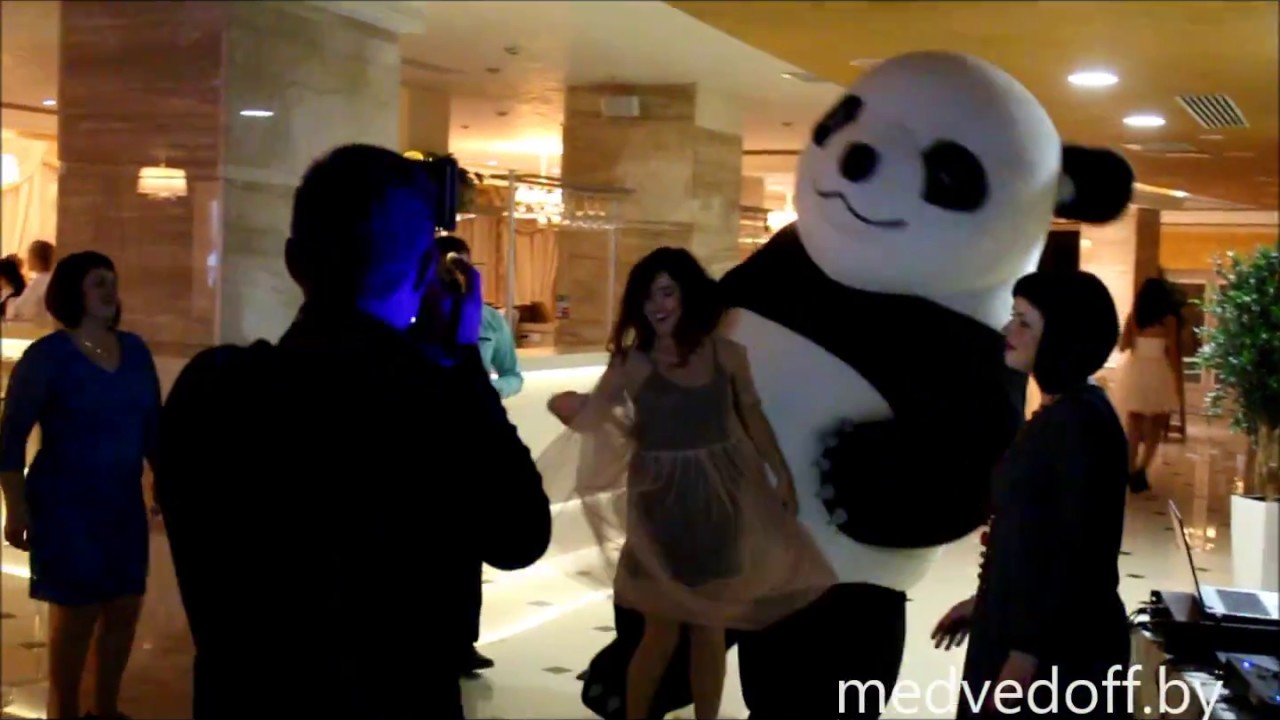 Панда танцует видео. Панда зажигающая. Танцующие панды Астрахань. Шоу танцы Панда танцует. Панда шоу аниматоры.