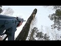 Cutting down a tree with an ak saiga 12 shotgun  easy