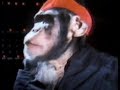 The John Wayne Monkey (A Cinema Snob Joke)