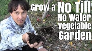 Grow a No Till & No Water Vegetable Garden with Little Effort