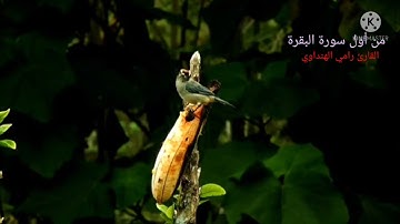 أول سورة البقرة