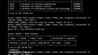 Lecture 10 Data Manipulation Language practical - Part 3