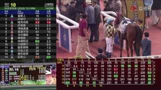 駿馬名駒 (N376) 韋達 27/10/2013