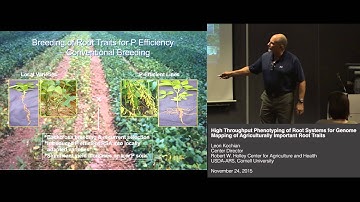 Leon Kochian - High throughput phenotyping of root systems for genome mapping of root traits