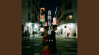 真的忘了你