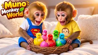 Muno Menemukan 5 Telur Misterius! Menetas Jadi Anak Bebek Lucu 🐥💛✨