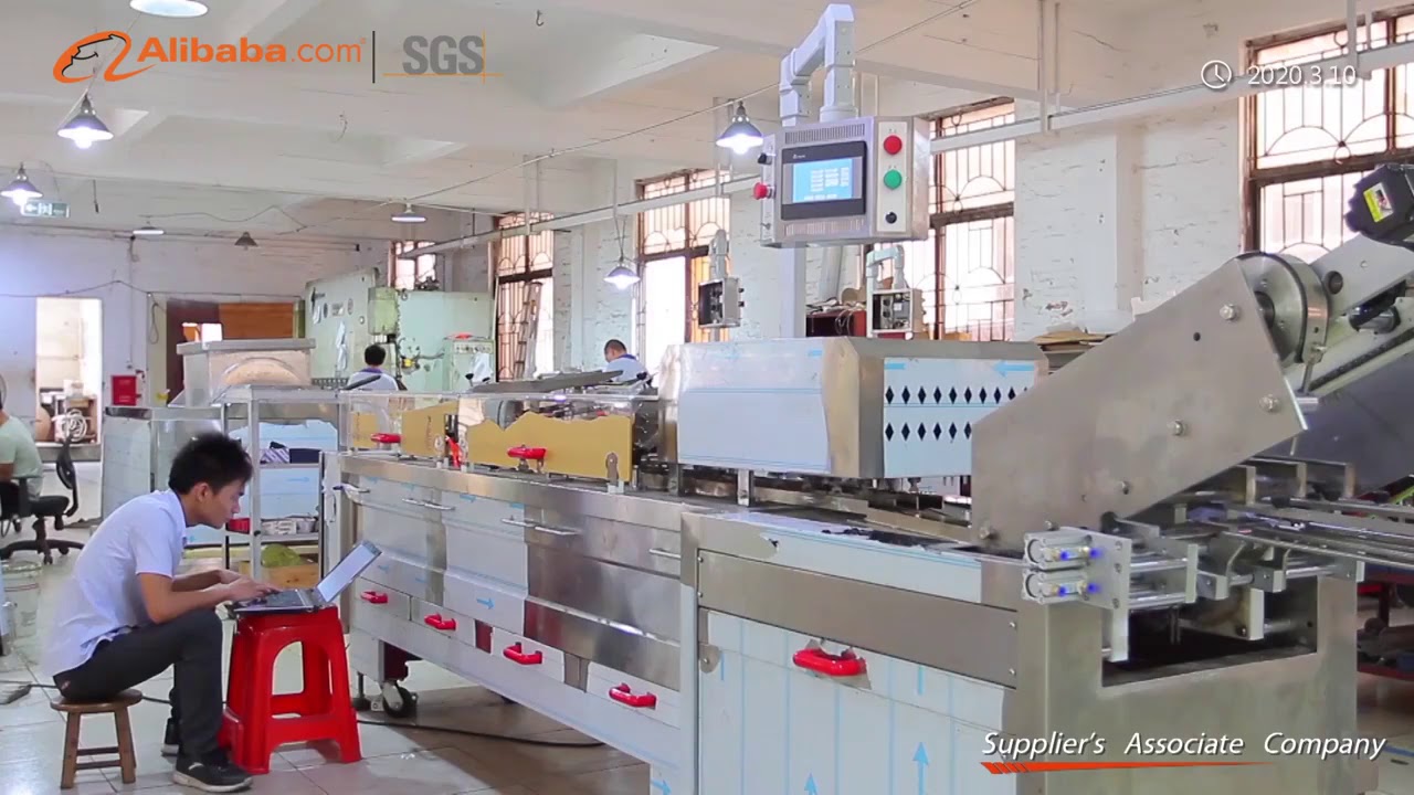 Skywin Company profile for Biscuit Machine