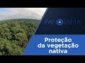  Novo Código Florestal | Jornalismo TV Cultura 21/03/2018