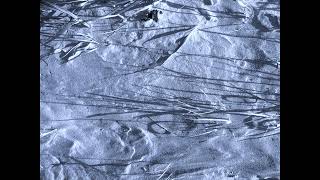 Return To The Planet Of The Capacitors.