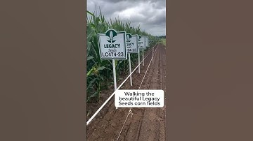 Prepping Our Test Plots | Aubrey