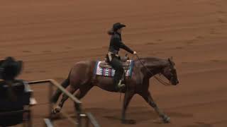 260514 NP Jenna Kay Vernon on Shinalite