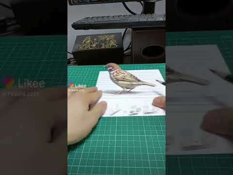 لقد رسم عصفور كأنه حقيقي الرسم على الزجاج