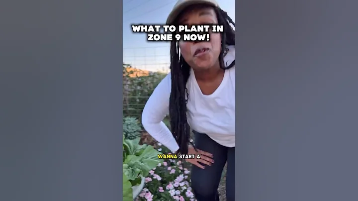 5 MORE Fall Vegetables to Plant Now in Zone 9