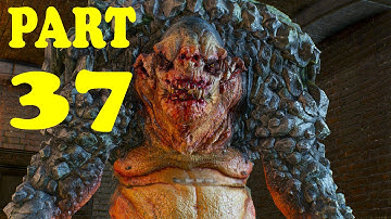 The Witcher 3 Wild Hunt Gameplay Walkthrough Part 37 - Count Reuven