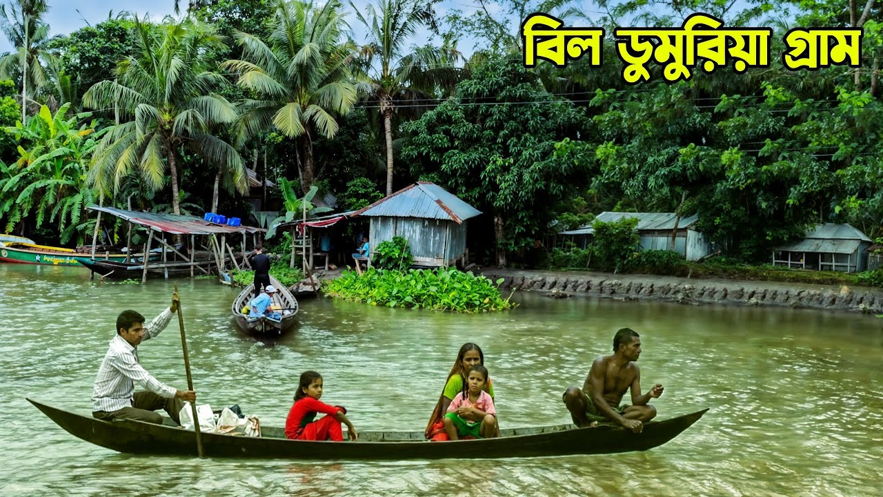 পিরোজপুরের দুর্গম বিলাঞ্চলের নিসর্গধন্য বিল-ডুমুরিয়া গ্রাম || Panorama Documentary