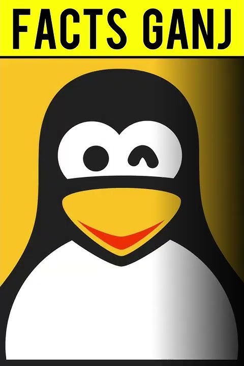 Why is Linux better for programming ??? | Facts Ganj - YouTube