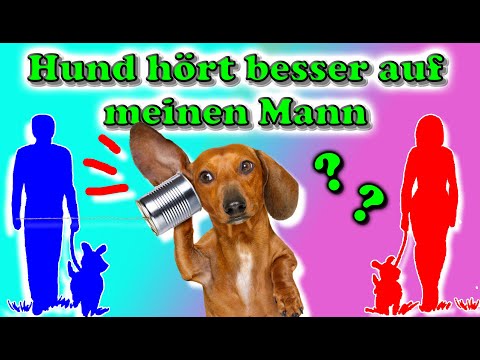 Video: Warum hört mein Hund nur Männern zu?