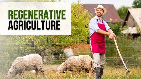Regenerative Agriculture: Transforming Farming for a Sustainable Future
