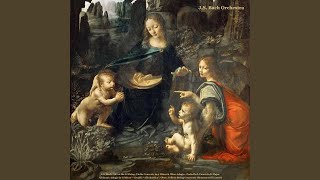 String Concerto in D Major, Rv 121: III: Allegro (Live)