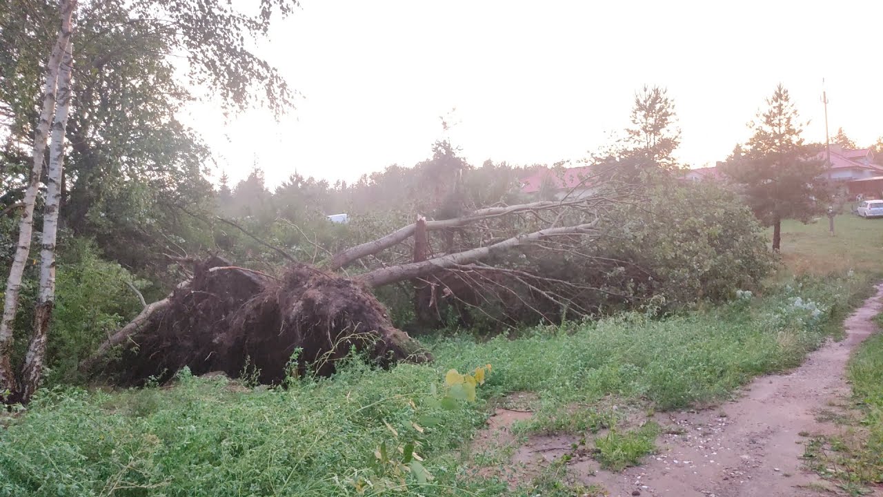 Najsilniejsza burza z gradem i silnym wiatrem w Kunowie roku 2022! 14.08.2022 godz 17 (opis)
