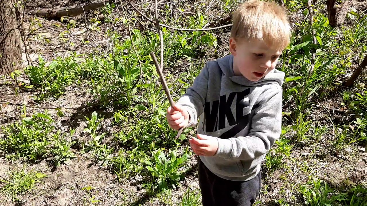 Walking the trails - YouTube