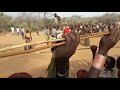 bull jumping in turmi - hammer tribe - ethiopia