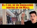 😱Un fósil de un dinosaurio dentro de un mall un aquario gigante y una cascada impresionante😱