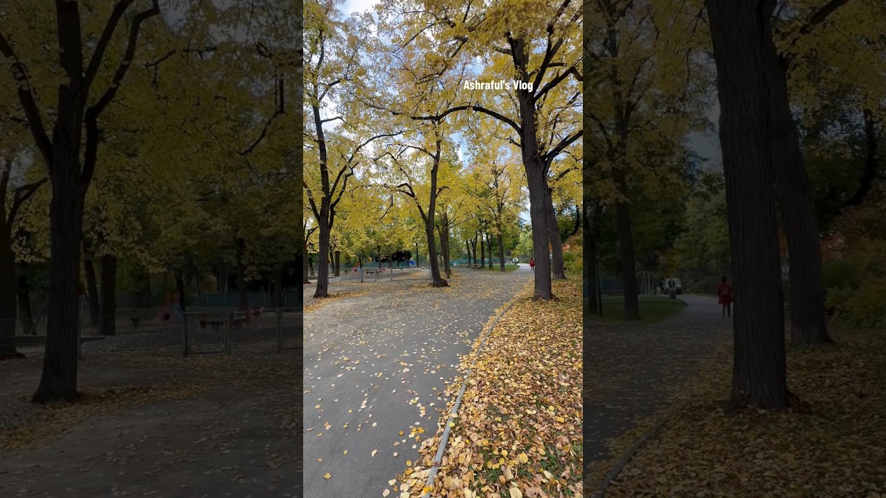 Autumn in Vienna,Austria🍁