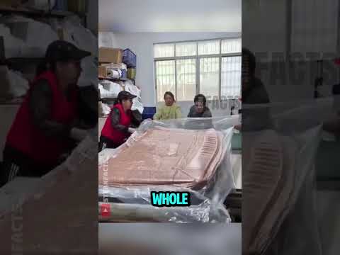 The Truth Behind The Sofa In A Small Box