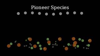 Which statement best describes a pioneer species?