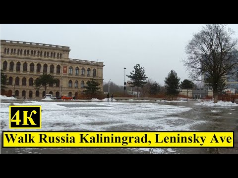 Russia Kaliningrad, روسيا | جولة مدينة سيرًا على الأقدام 4K | 14 ديسمبر 2021