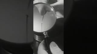 Painting on the Head of a Pin | 1950s