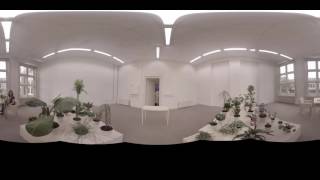 Final video edit 360 injected