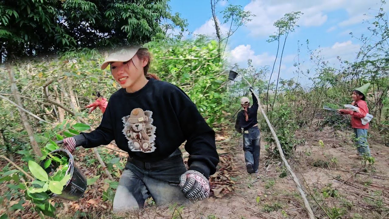 วันนี้น้องพรคำพาไปแหย่ไข่มดแดงบาด เจ็บกันทุกคน 7 มีนาคม ค.ศ. 2026