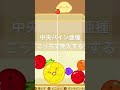 【スイカゲーム】角スイカ基礎!中央パイン戦法亜種🍍🍍 #スイカゲーム #おすすめ
