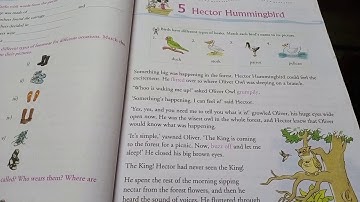 Class IV English Reader Ch 5 HECTOR  HUMMINGBIRD