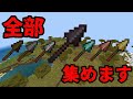 【マイクラ】アプデで追加された槍を全種類集める！？その時に起こった悲劇とは！？