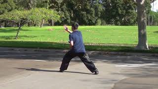 Chen Taichi 56 Forms - Trần Gia Thái Cực Quyền 56 Thức
