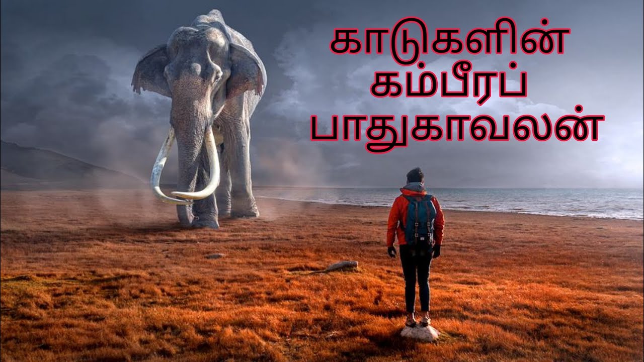 essay about elephant in tamil