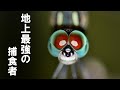 【ゆっくり解説】トンボの進化