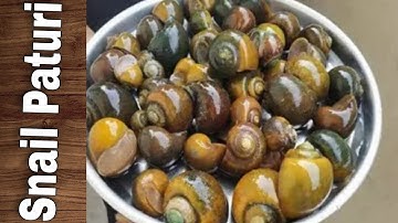 Cleaning Snails & cooking healthy recipe | Removing snail from it