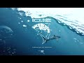 Goldie - Legenda ft  Vano &amp; Lider &amp; Bvana