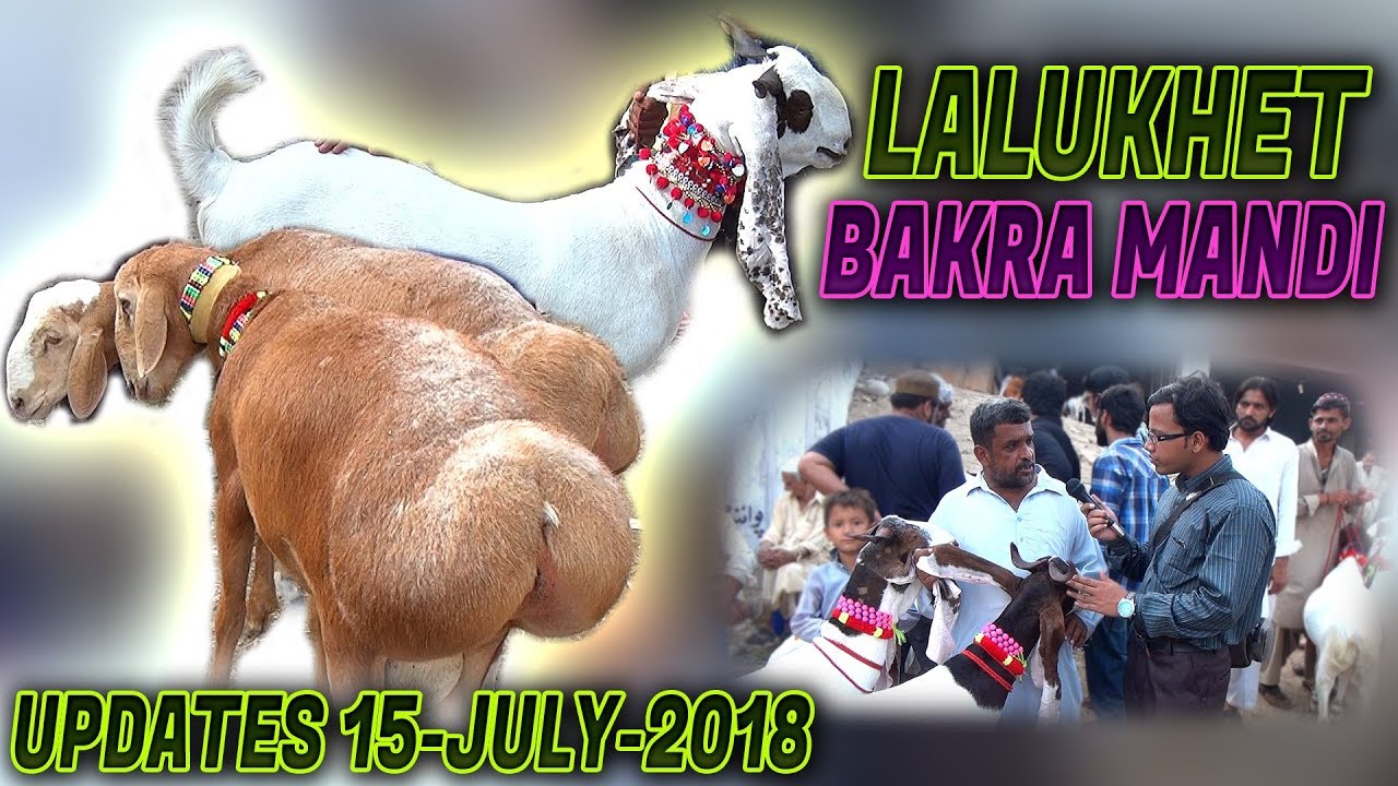 Lalukhet Bakra Mandi 15July2018 Latest Updates Jamshed Asmi