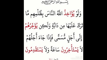 سورة النحل آية 61