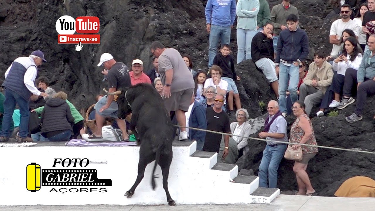Tourada - Porto dos Biscoitos 28- 09- 2025 Ganadeiro - C.A.J.A.F.