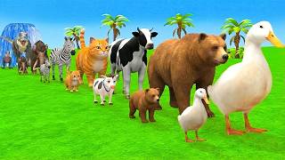 Long Slide Game With Elephant Gorilla Buffalo Hippopotamus Tiger - 3d Animal Game - Funny 3d Animals screenshot 5