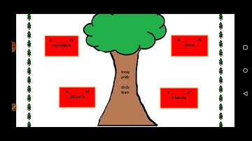 Grade  3 English Dated 09 04 2021