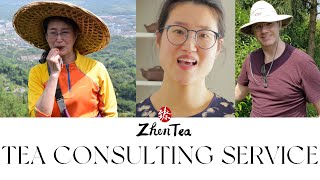 ZhenTea Tea Consulting Service for Tea Producers by ZhenTea 149 views 4 months ago 16 minutes