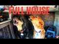 My Trucking Life | FULL HOUSE | #1750