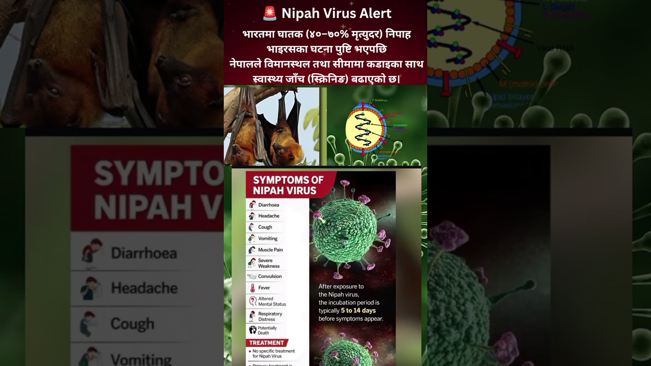 Nipah Virus Alert: Nepal Tightens Border & Airport Screening After India Cases